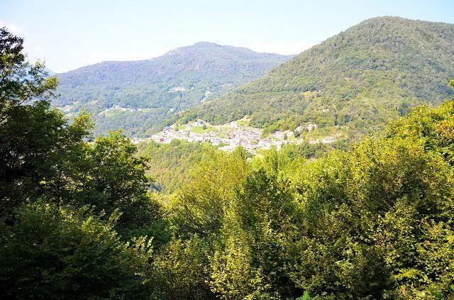 Grande rustico immerso nel bosco con grande terreno / grosses Rusti... – Foto 21 von 27