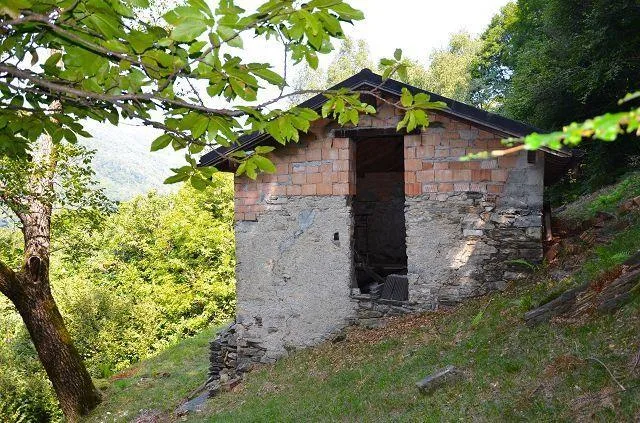 Grande rustico immerso nel bosco con grande terreno / grosses Rusti...