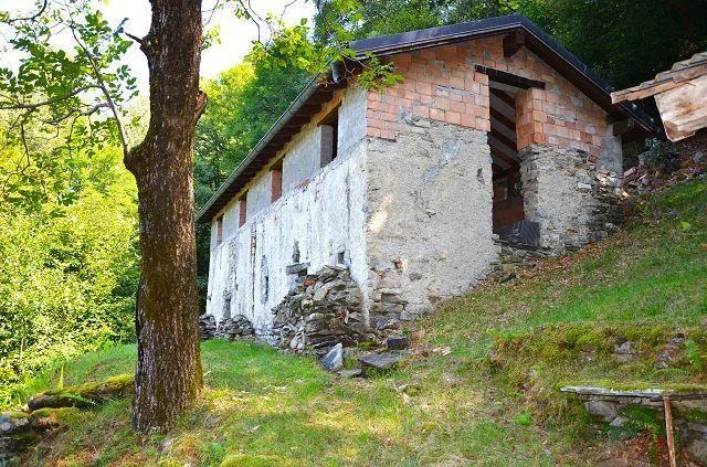 Grande rustico immerso nel bosco con grande terreno / grosses Rusti...