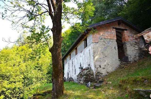 Grande rustico immerso nel bosco con grande terreno / grosses Rusti...
