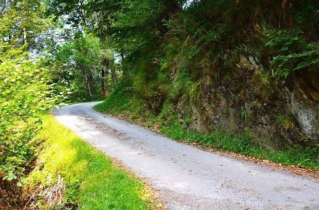 Grande rustico immerso nel bosco con grande terreno / grosses Rusti... – Foto 24 von 27