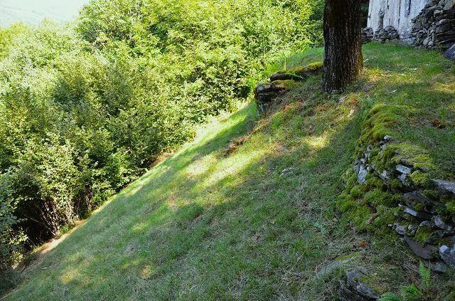 Grande rustico immerso nel bosco con grande terreno / grosses Rusti... – Foto 15 von 27
