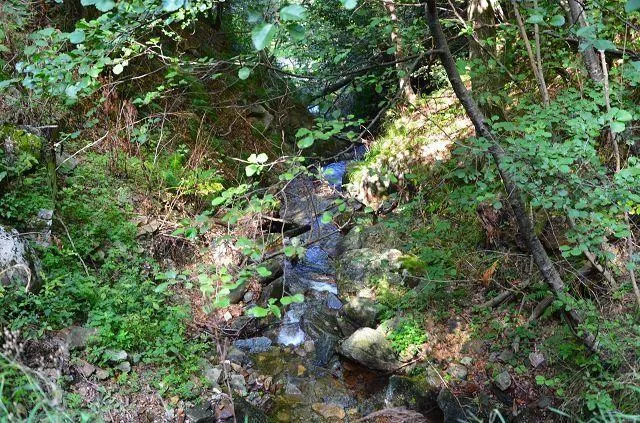 Grande rustico immerso nel bosco con grande terreno / grosses Rusti... – Foto 19 von 27