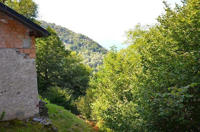 Grande rustico immerso nel bosco con grande terreno / grosses Rusti... – Foto 23 von 27