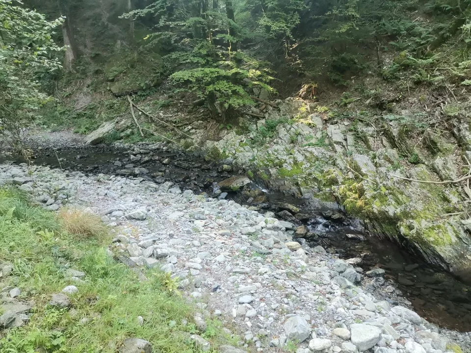 2-ZIimmer-Rustico mit Wiese und grossem Waldgrundstück in Flussnähe... – Foto 13 von 13