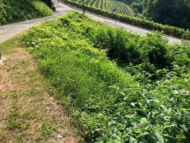 terreno edificabile di 333 m2 / Bauland von 333 m2 Fläche