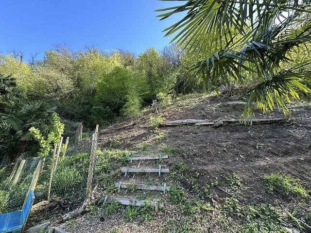 2.5 Zimmer Rustico mit 12535 m2 Umschwung / rustico di 2 1/2 locali... – foto 18 di 24