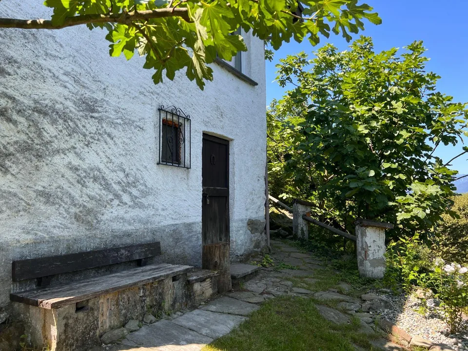 2.5 Zimmer Rustico mit 12535 m2 Umschwung / rustico di 2 1/2 locali... – foto 7 di 24