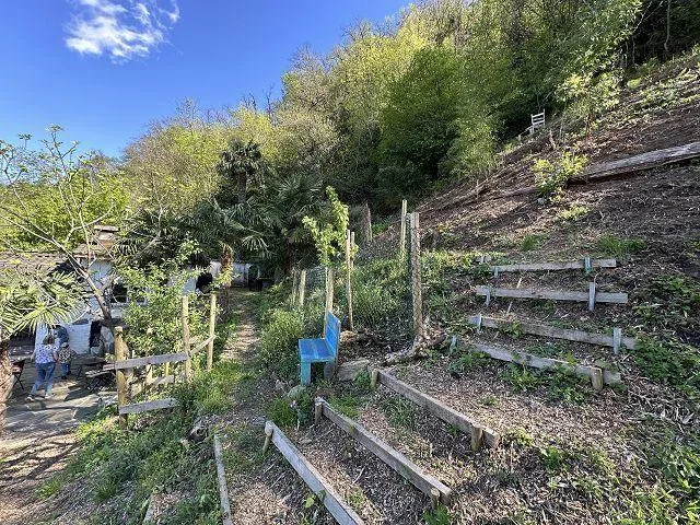 2.5 Zimmer Rustico mit 12535 m2 Umschwung / rustico di 2 1/2 locali... – foto 19 di 24