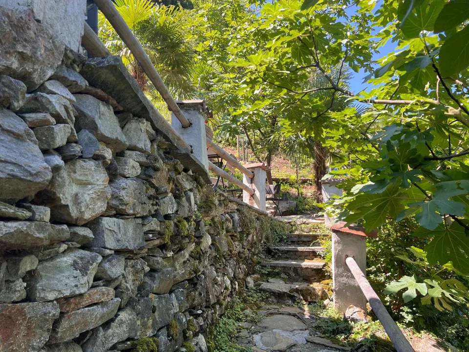 2.5 Zimmer Rustico mit 12535 m2 Umschwung / rustico di 2 1/2 locali... – foto 10 di 24
