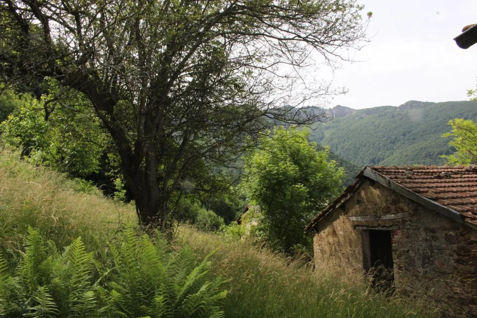 Rustico zum Ausbauen und Bauland mit gr. Umschwung und Aussicht / R... – Foto 12 von 15