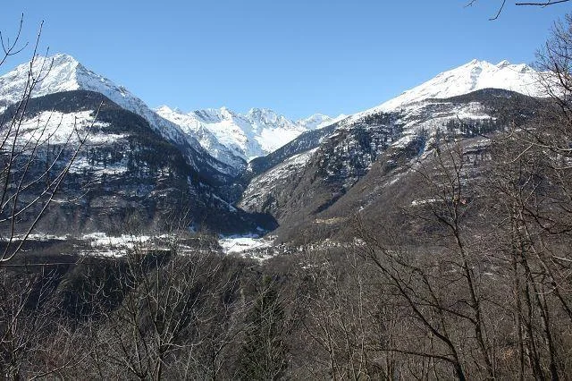 Zwei Baulandgrundstücke von 1886 m2 Fläche – Foto 8 von 9