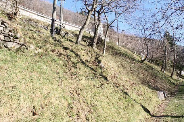 Zwei Baulandgrundstücke von 1886 m2 Fläche – Foto 6 von 9