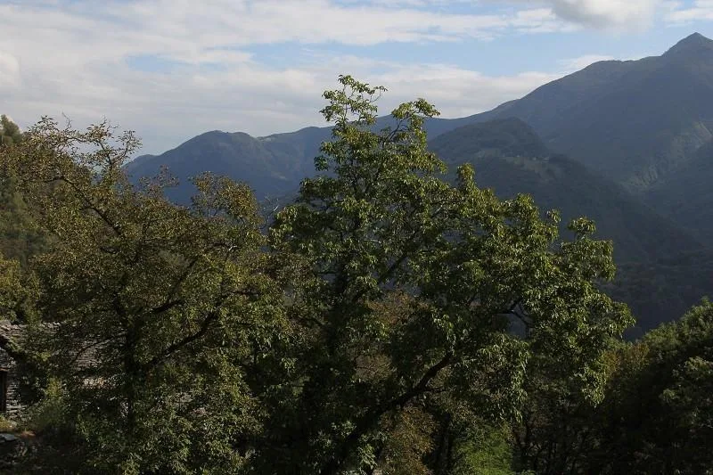 3-Zimmer-Rustico zum Ausbauen mit herrlichem Ausblick – Foto 9 von 9