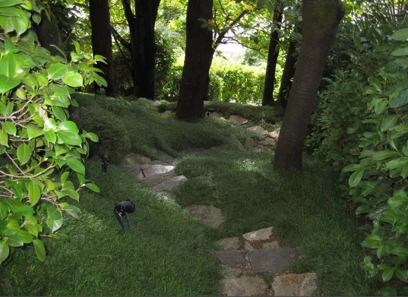 Villa con piscina immersa nel verde - Savosa – foto 6 di 14