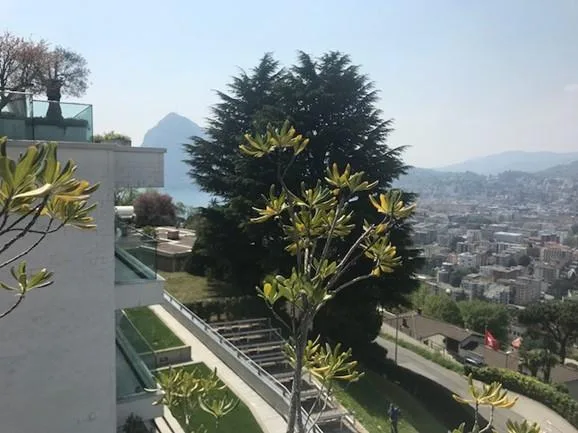 Strepitoso attico con rooftop Albonago – photo 15 sur 15