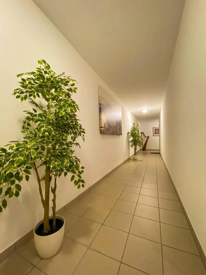 4.5 Locali di ampie dimensioni in città – foto 27 di 29