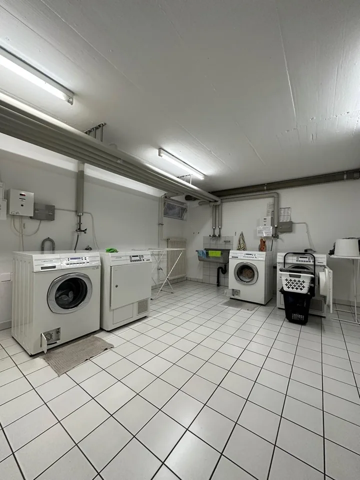 2.5 locali Pregassona – photo 13 of 15
