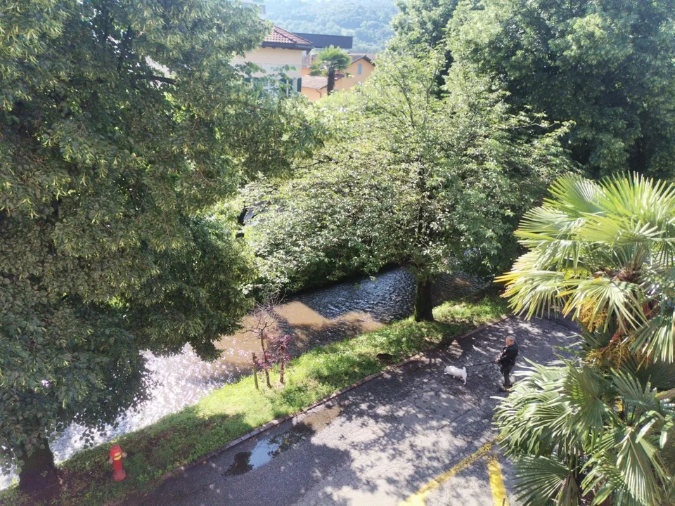 Appartamento 3.5 locali completamente ristrutturato / 3 1/2-Zimmer-... – Foto 11 von 12