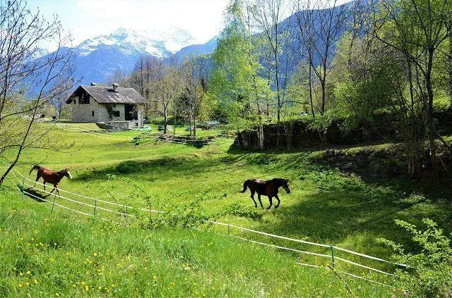 Baulandgrundstück von 1069 m2 an sehr ruhiger, sonniger Lage / terr... – Foto 7 von 18
