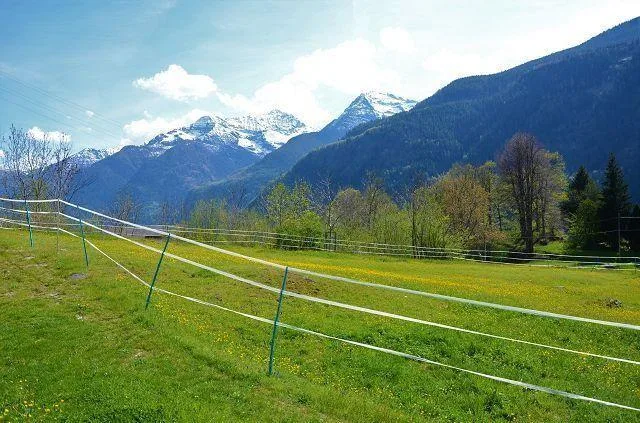 Baulandgrundstück von 1069 m2 an sehr ruhiger, sonniger Lage / terr... – Foto 11 von 18