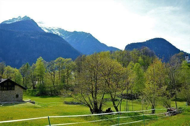 Baulandgrundstück von 1069 m2 an sehr ruhiger, sonniger Lage / terr... – Foto 8 von 18