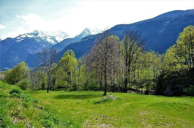 Baulandgrundstück von 1069 m2 an sehr ruhiger, sonniger Lage / terr... – Foto 14 von 18
