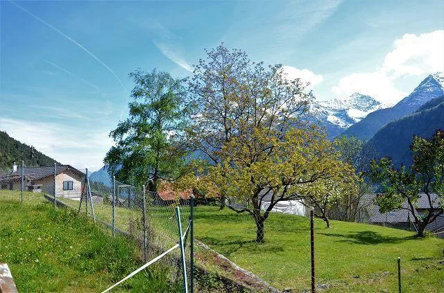 Baulandgrundstück von 1069 m2 an sehr ruhiger, sonniger Lage / terr... – Foto 13 von 18