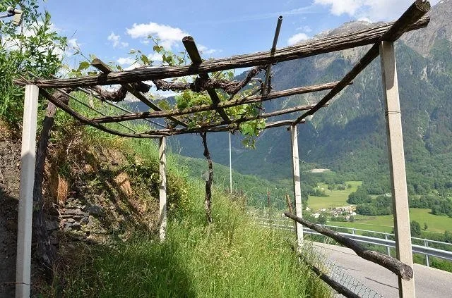 zwei Dorfhäuser mit grossem Umschwung / due case nel nucleo con gra... – Foto 26 von 30