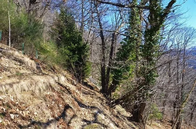Rustico da ristrutturare con grande terreno terrazzato / Rustico zu... – Foto 16 von 25