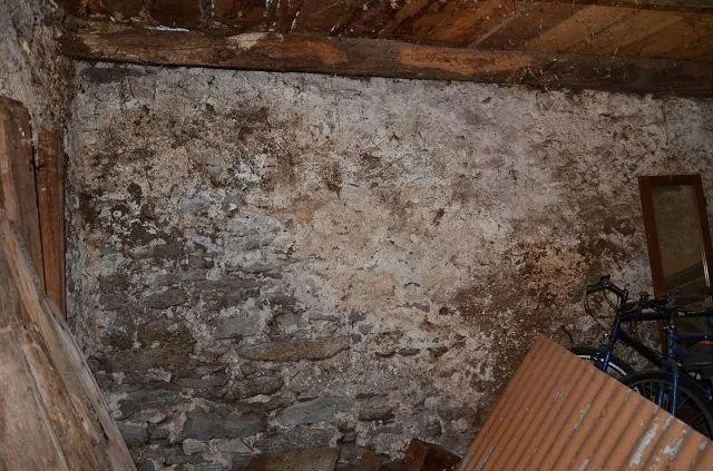 Grande rustico nel nucleo da ristrutturare / grosses Rustico im Dor...