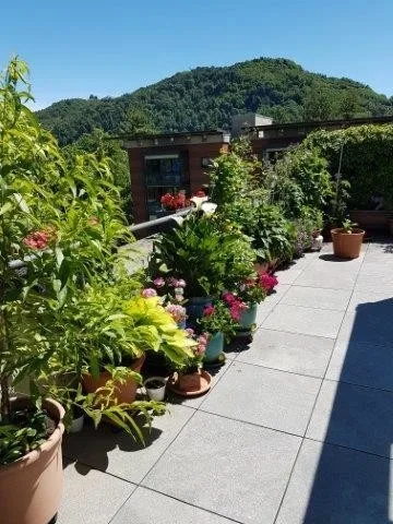 Agno attico 3 1/2 locali con vista aperta / 3 1/2-Zimmer-Attikawohn... – Foto 18 von 25