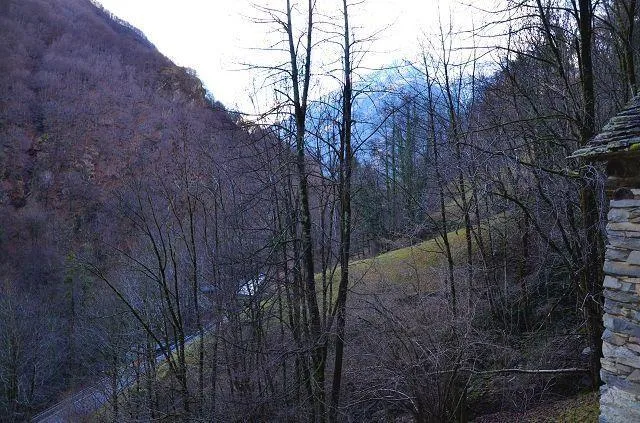Rustico di 2 piani da ristrutturare con grande terreno / 2 geschoss... – Foto 24 von 28
