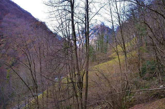 Rustico di 2 piani da ristrutturare con grande terreno / 2 geschoss... – Foto 16 von 28