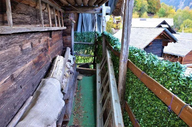 Rustico zum Ausbauen mit grossem Garten an sehr sonniger, ruhiger A... – Foto 14 von 28
