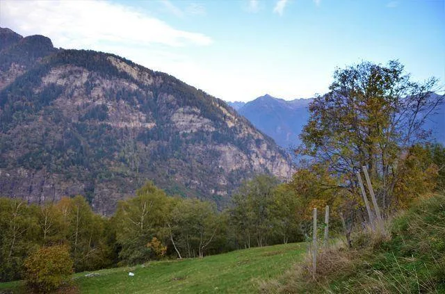 Rustico zum Ausbauen mit grossem Garten an sehr sonniger, ruhiger A... – Foto 19 von 28
