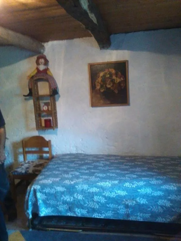 3 1/2- Zimmer-Rustico mit grossem Umschwung /  Rustico di 3 1/2 loc...