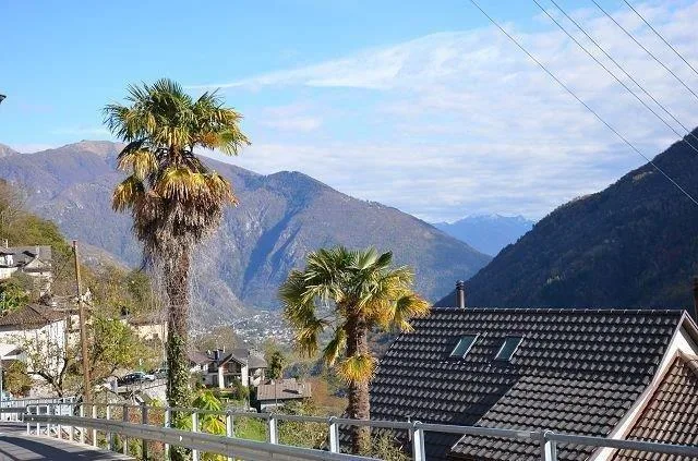 Bel rustico con progetto preliminare in una posizione molto soleggi... – Foto 19 von 22