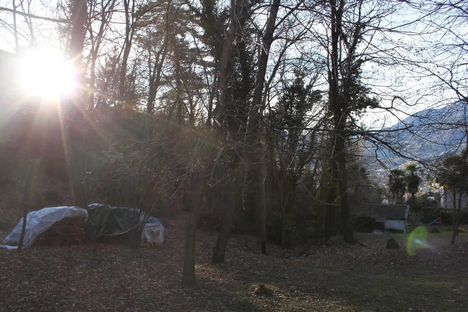 Terreno edificabile di 668m2 e 369 m2 parte bosco /Baulandgrundstüc... – Foto 10 von 15