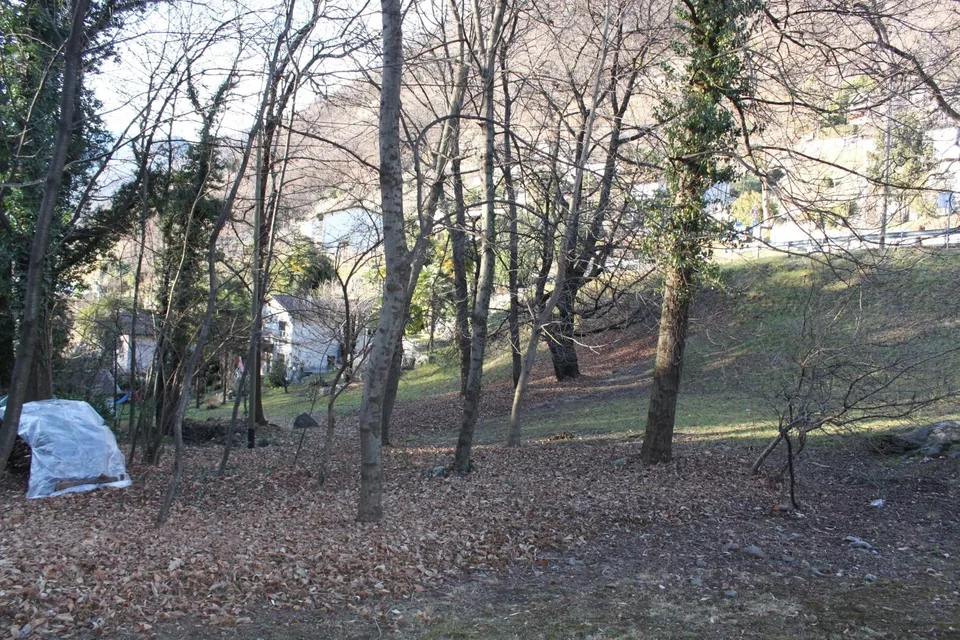 Terreno edificabile di 668m2 e 369 m2 parte bosco /Baulandgrundstüc... – Foto 14 von 15