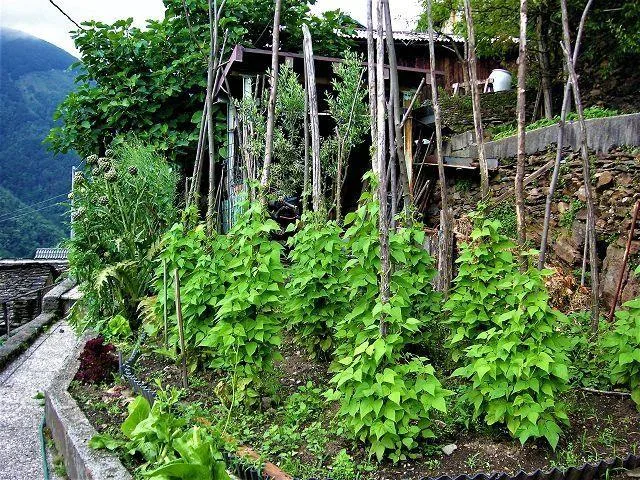 Casa bifamiliare in Italia con grande giardino / 2-Familienhaus in ... – Foto 30 von 30