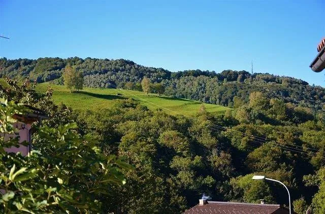 Bel rustico di 2 1/2 locali nel nucleo con giardino e pergola / sch... – foto 18 di 22