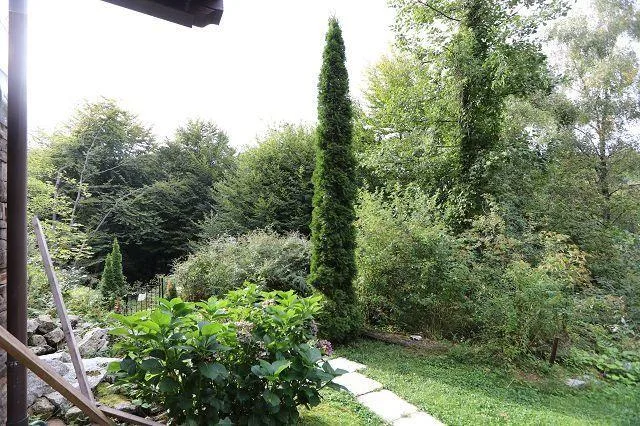 3 1/2-Zimmer-Rustico in einer Waldlichtung in Italien / rustico di ... – Foto 11 von 18