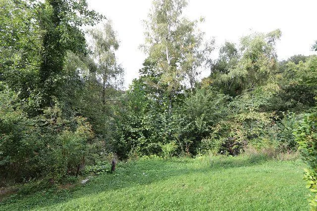 3 1/2-Zimmer-Rustico in einer Waldlichtung in Italien / rustico di ... – Foto 10 von 18