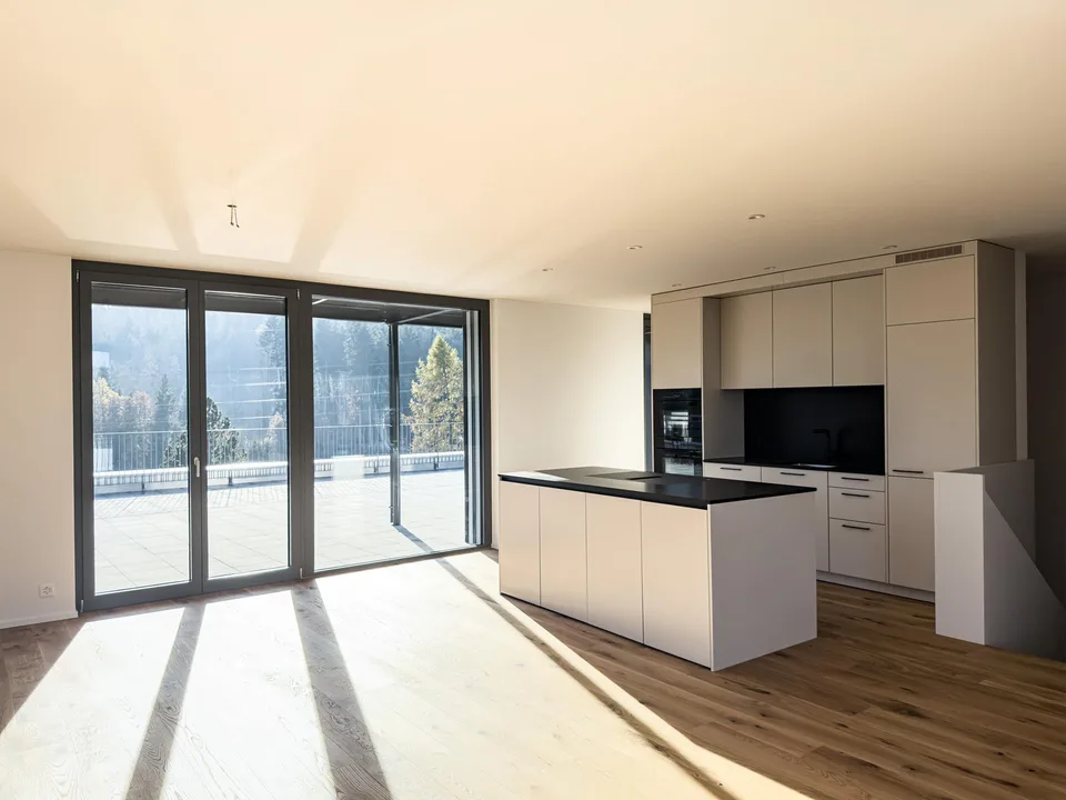 4.5 Attika Maisonette Neubauwohnung mit Weitsicht in EFH Quartier