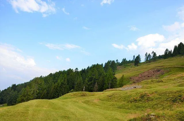 Rustico schon teilweise bewohnbar an sehr schöner Lage in der Natur... – Foto 18 von 30