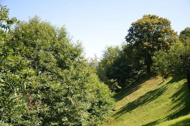 Bel rustico di 2,5 loc. di montagna con giardino e splendida vista ... – Foto 30 von 30
