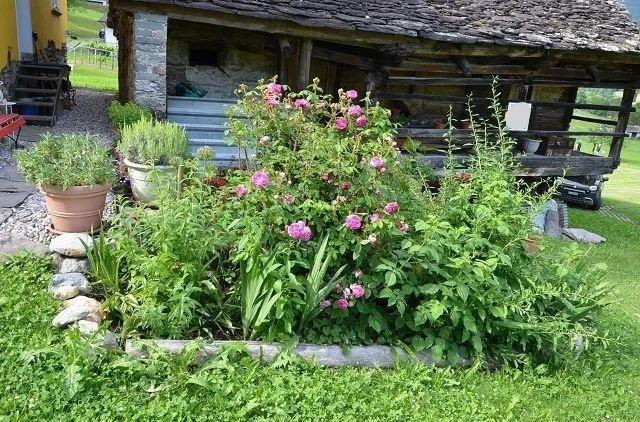 Bel rustico da ristrutturare con giardino e bella vista / Schönes r... – Foto 14 von 20