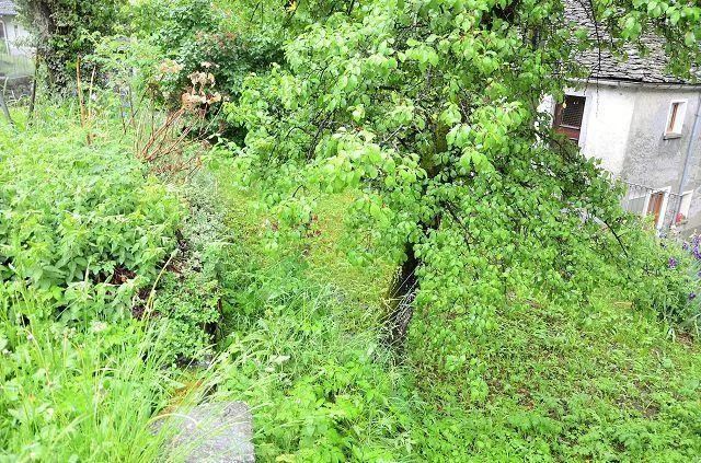 2 Rustico zum Ausbauen mit Garten / 2 rustici con giardino da ristr... – Foto 17 von 28