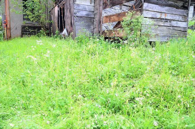 2 Rustico zum Ausbauen mit Garten / 2 rustici con giardino da ristr... – Foto 18 von 28